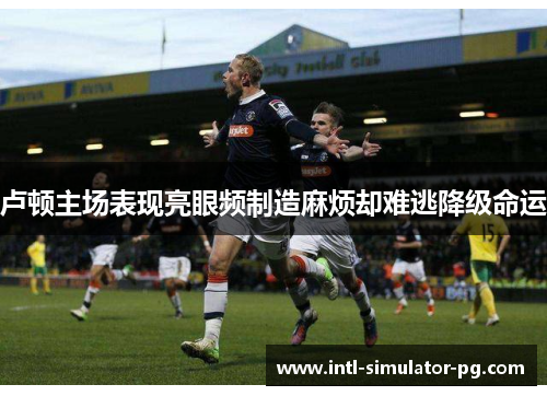 卢顿主场表现亮眼频制造麻烦却难逃降级命运